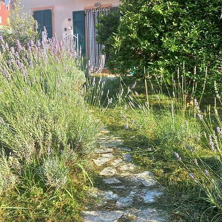 Willa La Casa Di Ulivi Piano di Follo Zewnętrze zdjęcie