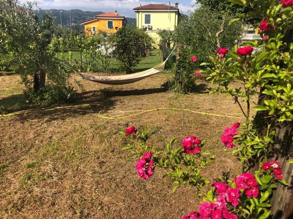 Willa La Casa Di Ulivi Piano di Follo Zewnętrze zdjęcie